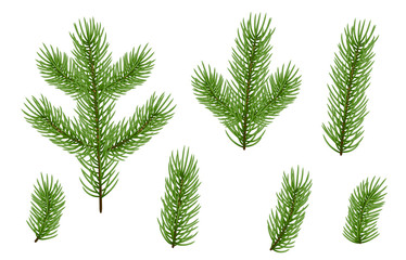 Fototapeta na wymiar Christmas green fir tree branches isolated on white