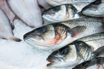 european seabass with copy space, fresh fish sold in a market
