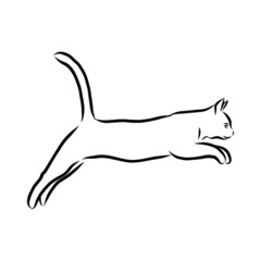 silhouette of a cat, jumping cat sketch 