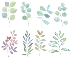 A set of leaves. Watercolor painting set of leaves on a white background. Hand draw watercolor illustration. Design element. Elegant leaves for art design. Botanical clipart.