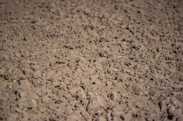 Plowed land on a field of black soil