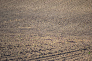 Fototapeta na wymiar Plowed land on a field of black soil