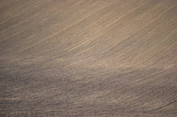 Fototapeta premium Plowed land on a field of black soil