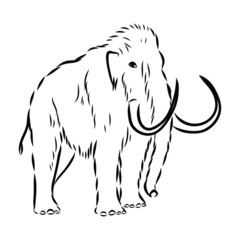vector illustration of an elephant, mammoth sketch 
