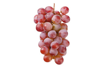 wild grapes isolated on a white background. Food