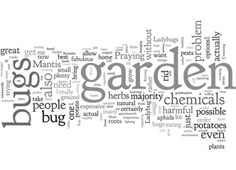 Home Remedies to Disburse Bugs