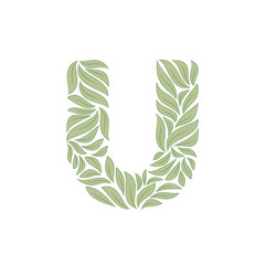 Ornamental letter U isolated on white background on white. Vector illustration © Nataly-Nete