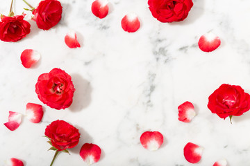 Red rose and petals on marble background. Valentines or wedding background.