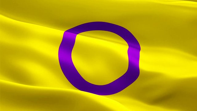 Intersex Flag Rainbow waving. 3d Intersex Pride Symbol flag waving Isolated. Sign of Rainbow seamless loop animation. Intersex flag HF. Polygender rights Rainbow Pride Flag LGBT 1080p HD video