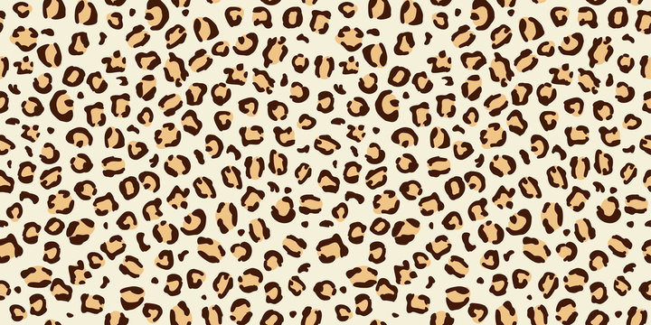 Leopard seamless print pattern animal vector skin texture, leopard or jaguar pattern