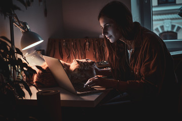 Young student is working on computer while her cat is sitting on the table.