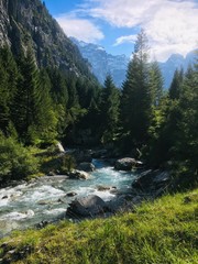 Obraz premium river in the mountains