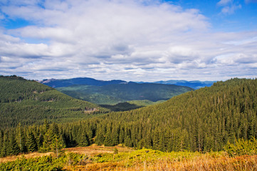 Mountain landscape with a green forest. Sunny forest with blue sky and clouds.