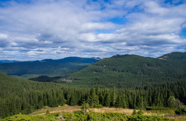 Obraz premium Mountain landscape with a green forest. Sunny forest with blue sky and clouds.