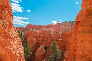 Beautiful Bryce Canyon National Park in Utah, USA. Orange rocks, blue sky. Giant natural amphitheaters and hoodoos formations. Great panoramic views from vista points and breathtaking adventure.