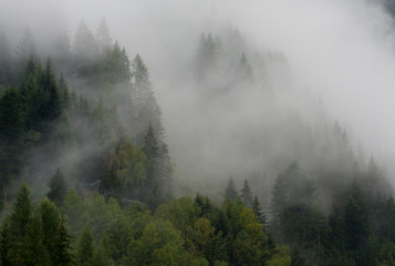 Nebelschwaden in den Alpen