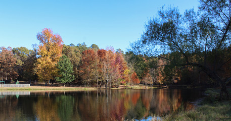 autumn in the park reflected in the lake