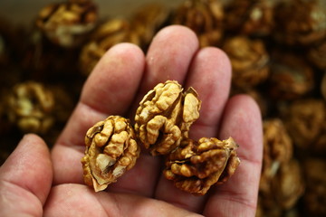 peeled whole kernels of walnuts harvest