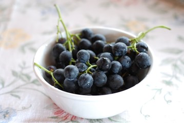 Bowl of berries
