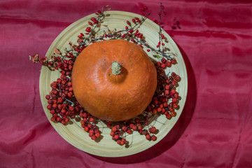 Gifts of nature. Orange pumpkin on a wooden dish, on a colored background. Framed with red mountain ash and draris. Tasty, healthy, healthy food.