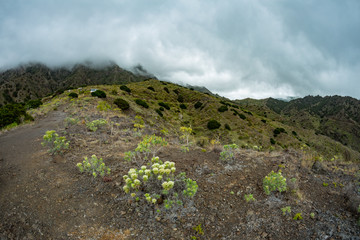 Narrow rural road in the mountains of Parque Natural Majona. Low wet clouds hanging over the green slopes. View of the north-eastern part of La Gomera island. Canary Islands, Spain