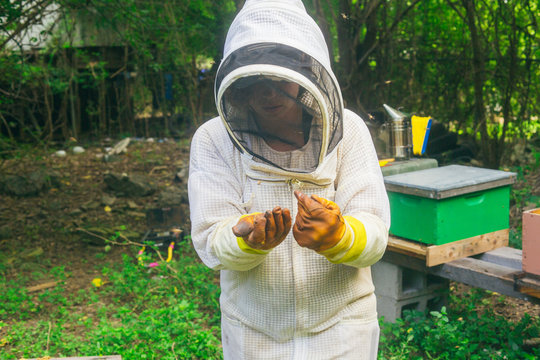 woman beekeeper rehoming wild bees