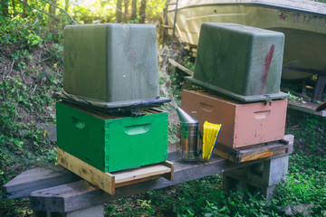 beehives in the garden