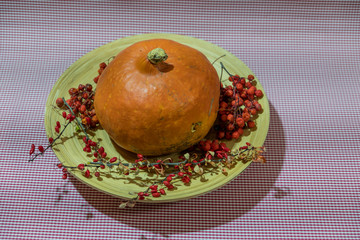 Gifts of nature. Orange pumpkin on a wooden dish, on a colored background. Framed with red mountain ash and draris. Tasty, healthy, healthy food.