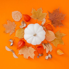 Autumn flat lay composition with white pumpkin