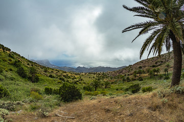 Rocky coastline with sharp cliffs in the ocean on the North of La Gomera island near Arguamul village where you can get along the narrow winding serpatine. Canary Islands, Spain