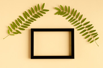 Green foliage, acacia branch and black wooden frame composition on beige background.