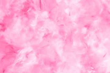 Beautiful abstract blue and purple feathers on darkness background and colorful soft white pink feather texture pattern