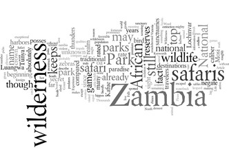 Experience Life At Zambia Wilderness Safari