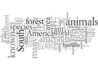 Exotic South American Animals