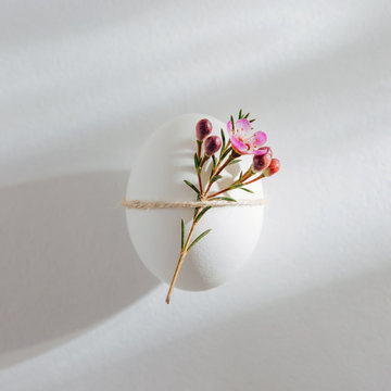 Natural Colored Eggs decorated with flowers in morning sunlights. Stylish minimal Compositions in pastel colors.  Easter concept.