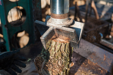 Man is using a electric saw for cutting firewood