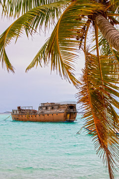 palms and shipwreck on the beach of Hanimaadhoo in the Maldives