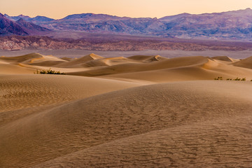 Fototapeta na wymiar desert dawn