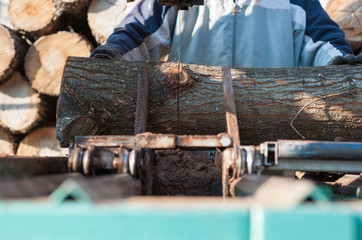 Man is using a electric saw for cutting firewood