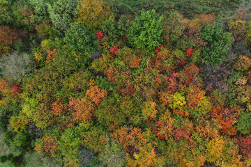 Couleur de l'automne