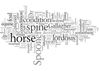 Equine Lordosis