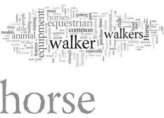 equestrian equipment