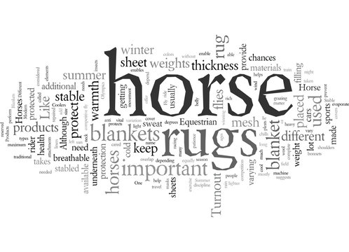 equestrian products