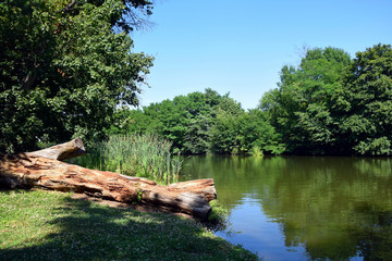 Fototapeta na wymiar Nature Lake Scenery Background in Czech Republic
