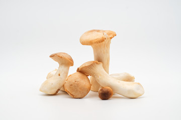 Pilze