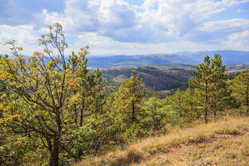 Beautiful Nature Landscape Serbia