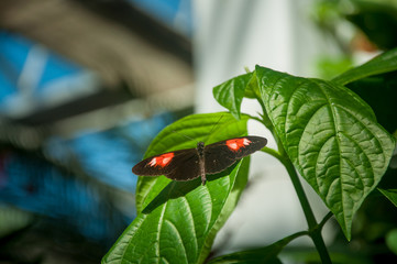 Nature In its Purest Form Denver