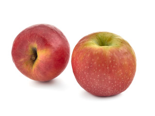 Fresh fruit on white background.Isolate