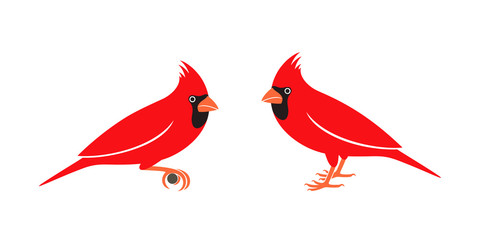 Cardinal bird logo. Isolated cardinal bird on white background