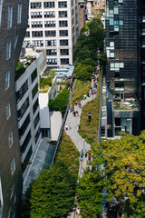 Aerial view of the The High Line  in Chelsea district, with a crowd of people,  trees and tall buildings, New York, NY, USA